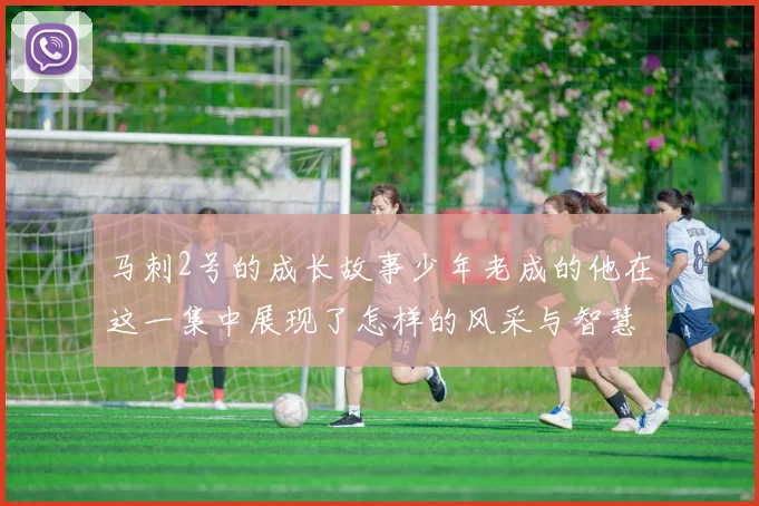 马刺2号的成长故事少年老成的他在这一集中展现了怎样的风采与智慧