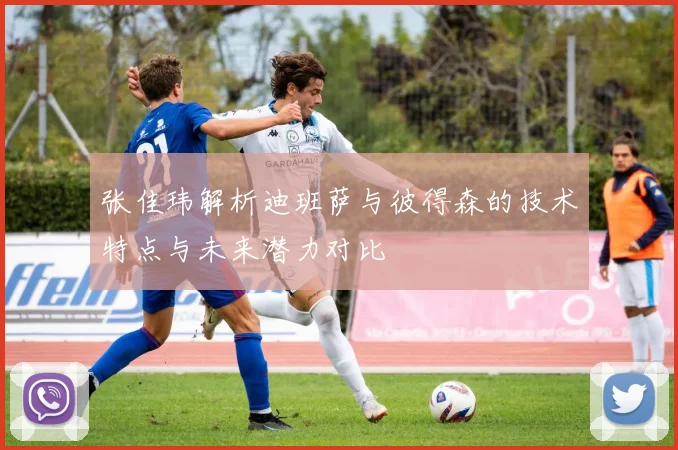 张佳玮解析迪班萨与彼得森的技术特点与未来潜力对比